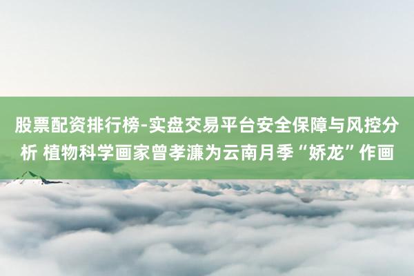 股票配资排行榜-实盘交易平台安全保障与风控分析 植物科学画家曾孝濂为云南月季“娇龙”作画